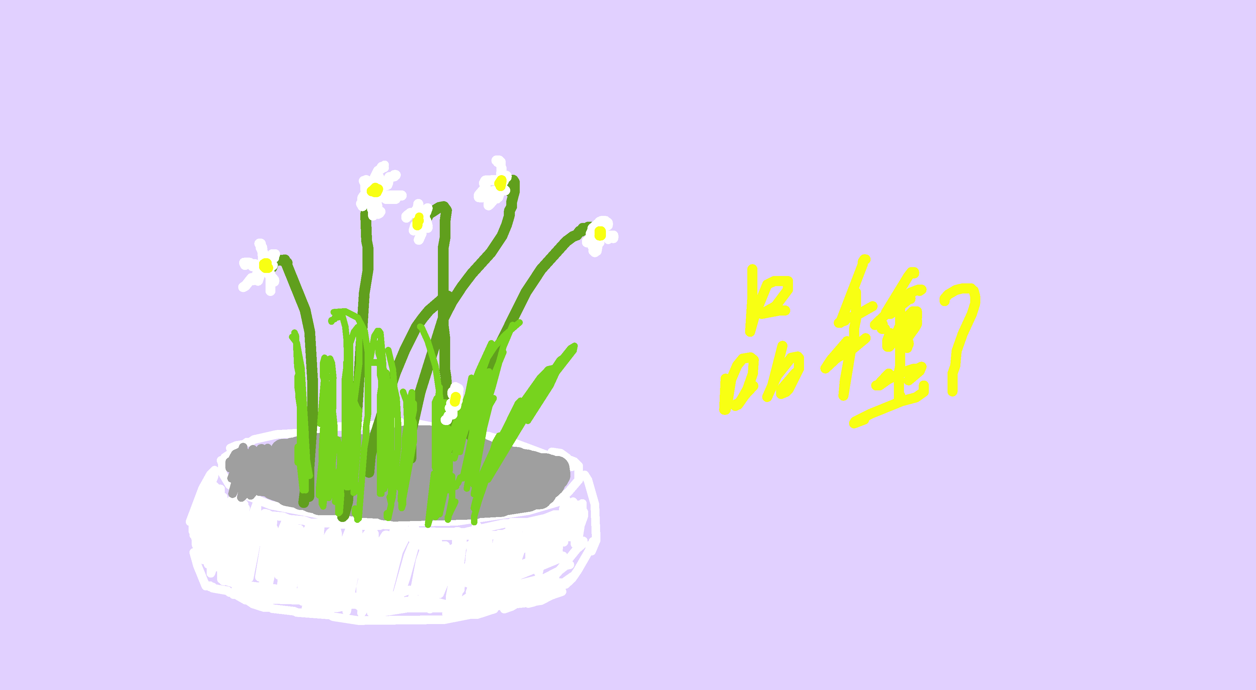 四朵白花，绿色背景 by Shibuya